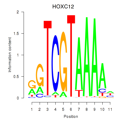 SeqLogo of HOXC12_HOXD12