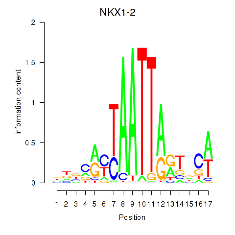 SeqLogo of NKX1-2_RAX