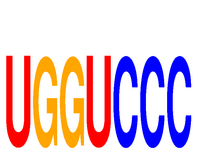 SeqLogo of UGGUCCC