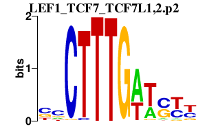 logo of LEF1_TCF7_TCF7L1,2.p2