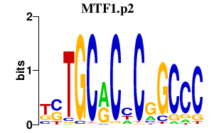 logo of MTF1.p2
