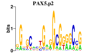 logo of PAX5.p2