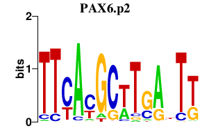 logo of PAX6.p2