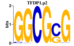 logo of TFDP1.p2