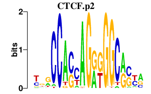 logo of CTCF.p2