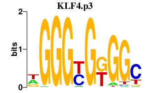 logo of KLF4.p3