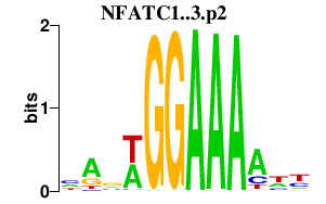 logo of NFATC1..3.p2