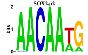 logo of SOX2.p2