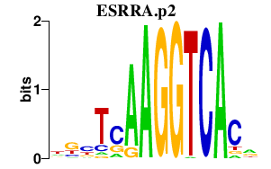 logo of ESRRA.p2