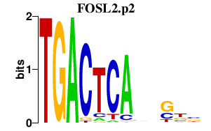 logo of FOSL2.p2