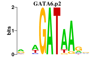 logo of GATA6.p2