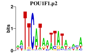 logo of POU1F1.p2