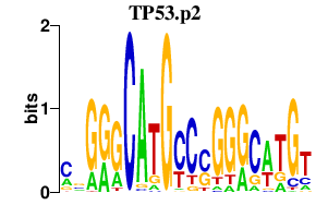 logo of TP53.p2