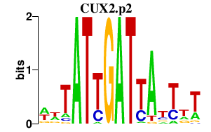 logo of CUX2.p2
