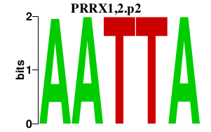 logo of PRRX1,2.p2