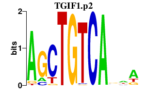 logo of TGIF1.p2