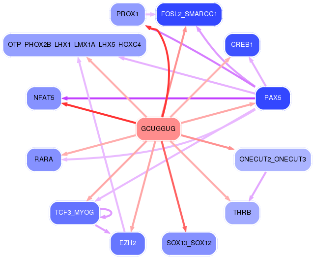 PNG image of the network