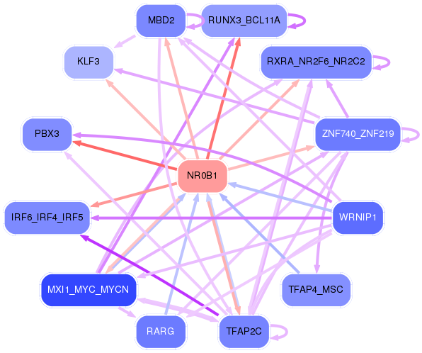 PNG image of the network