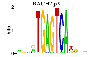 logo of BACH2.p2