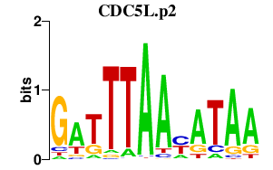 logo of CDC5L.p2