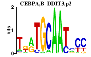 logo of CEBPA,B_DDIT3.p2