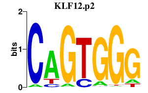 logo of KLF12.p2