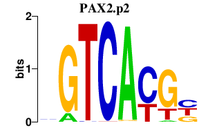 logo of PAX2.p2