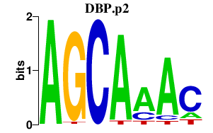 logo of DBP.p2
