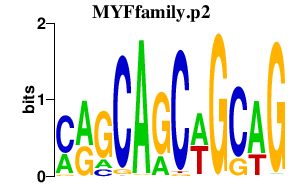 logo of MYFfamily.p2