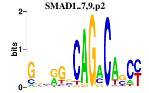 logo of SMAD1..7,9.p2