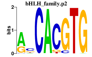 logo of bHLH_family.p2
