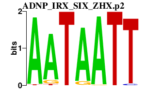 logo of ADNP_IRX_SIX_ZHX.p2