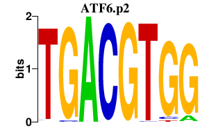 logo of ATF6.p2