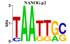 logo of NANOG.p2