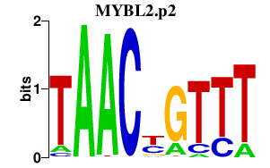 logo of MYBL2.p2