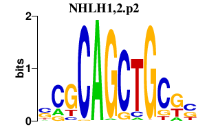 logo of NHLH1,2.p2
