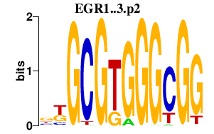 logo of EGR1..3.p2