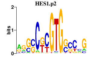 logo of HES1.p2