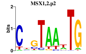 logo of MSX1,2.p2