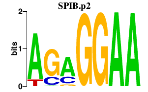 logo of SPIB.p2