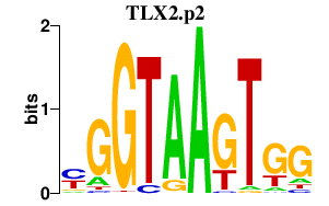 logo of TLX2.p2