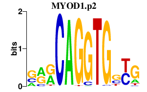 logo of MYOD1.p2