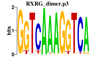 logo of RXRG_dimer.p3