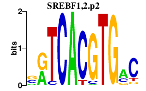 logo of SREBF1,2.p2