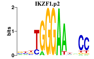 logo of IKZF1.p2