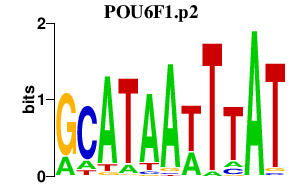 logo of POU6F1.p2