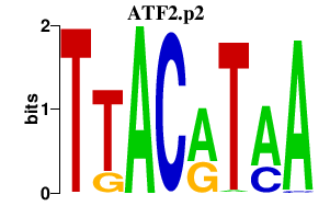 logo of ATF2.p2