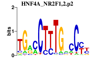 logo of HNF4A_NR2F1,2.p2