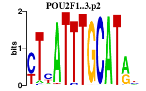 logo of POU2F1..3.p2