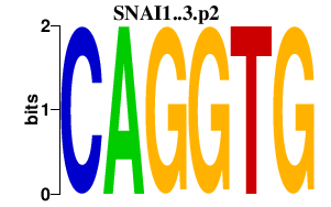 logo of SNAI1..3.p2